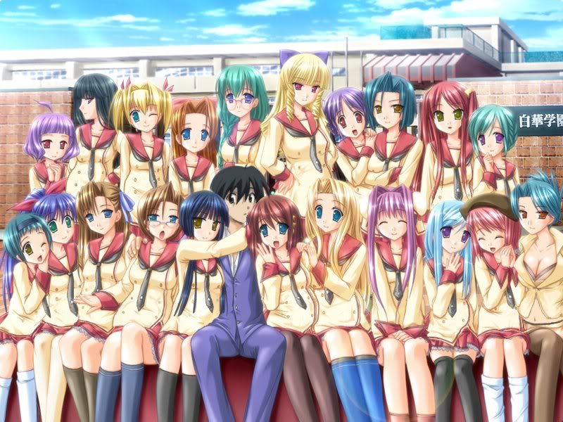 Anime Harem Girls